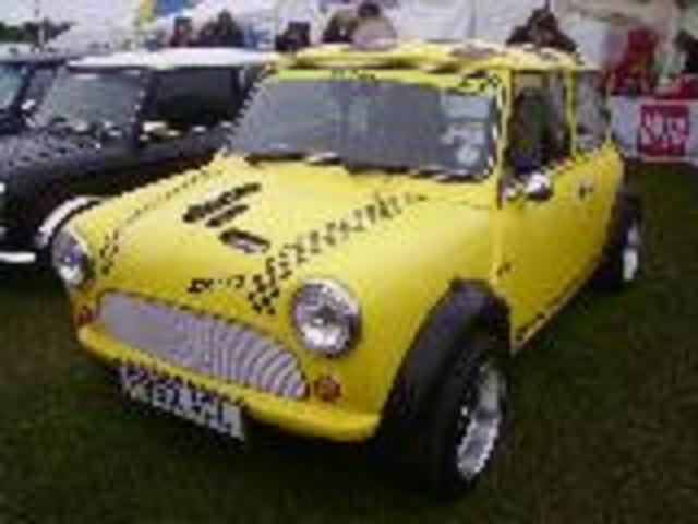 Mini Mini